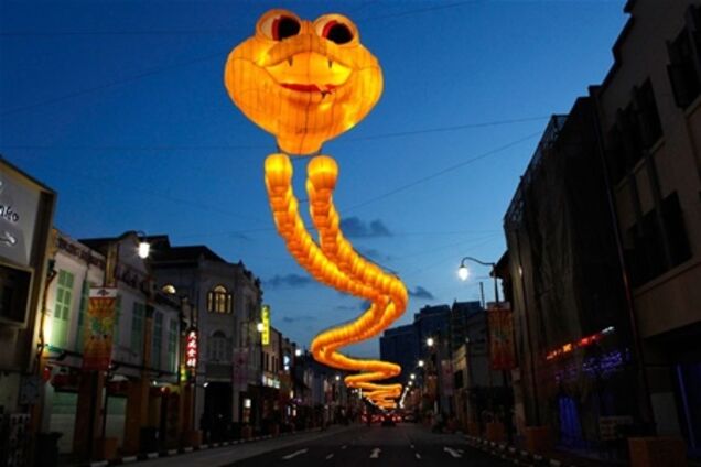 Рік змії - настав!