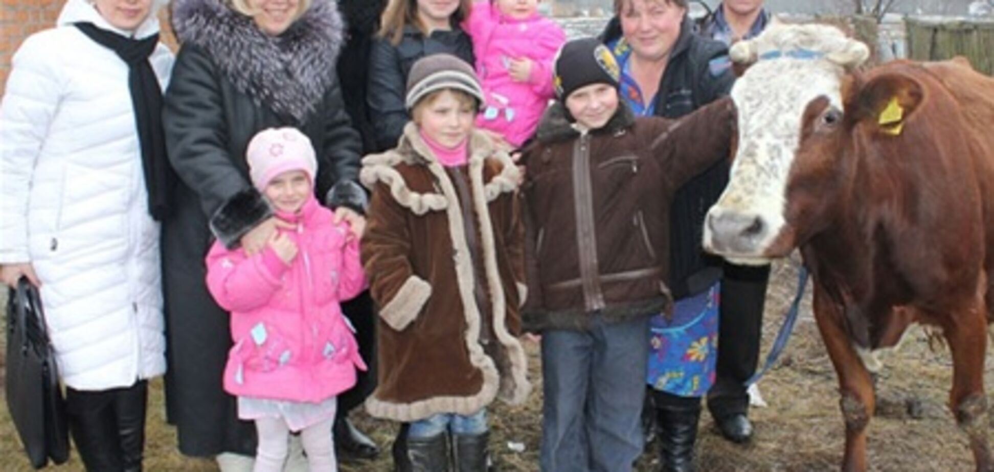 Собирали всей страной – украинцы купили многодетной семье корову. Фото