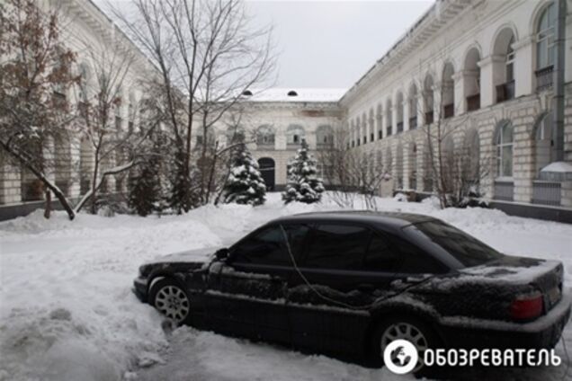 Деревья из Гостиного двора не уничтожили - Ярич