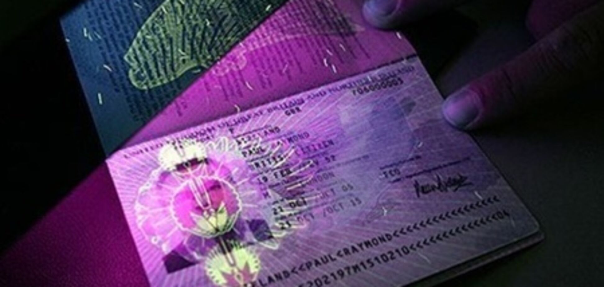 Для биометрических паспортов нет ни законов, ни технологий - Госмиграции