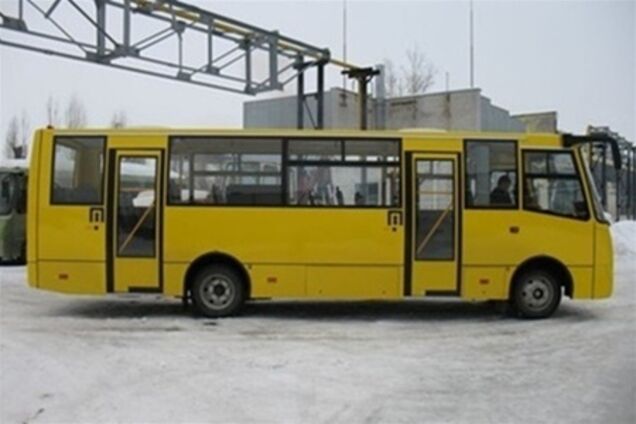 Жилмассив Лесной оставили без маршруток