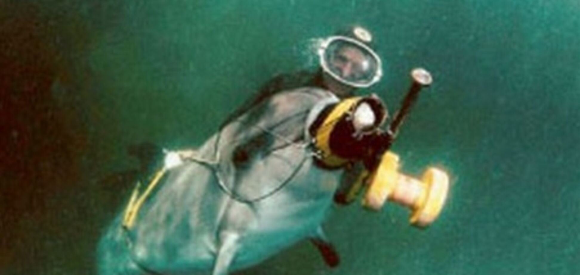 Украина потеряла в море боевых дельфинов с оружием