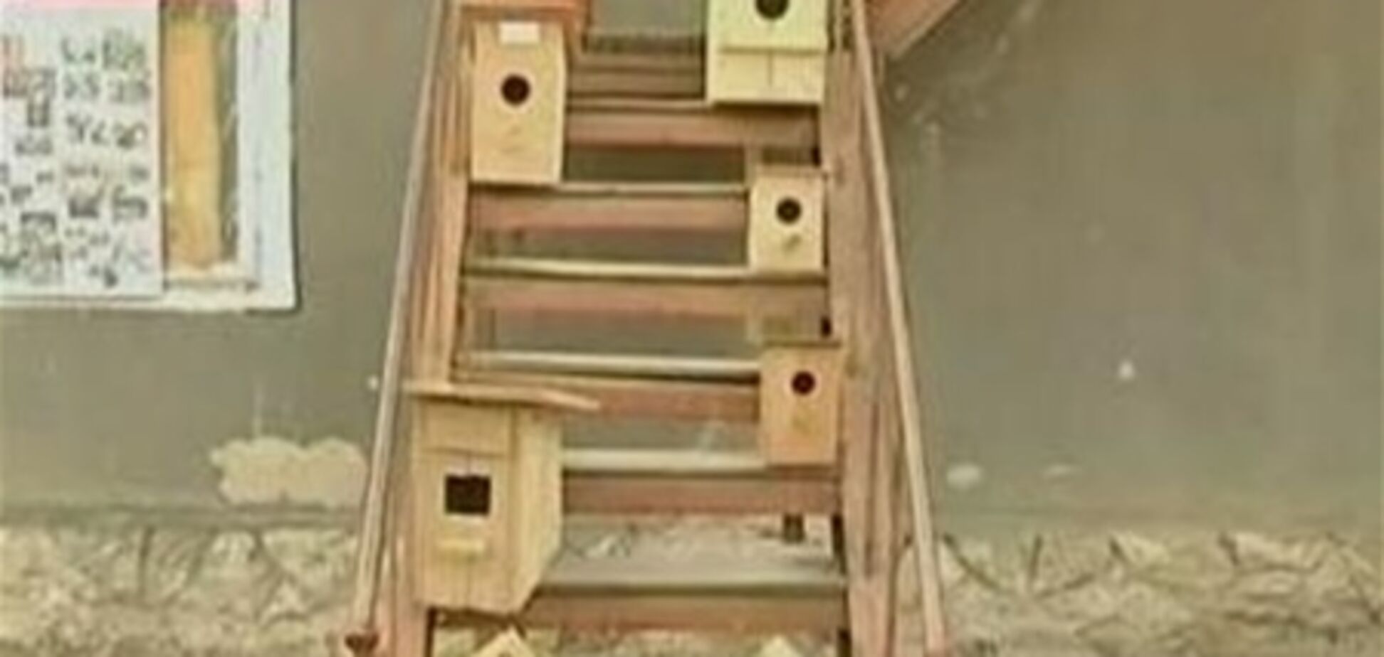 В Киеве стартовала 'Неделя добрых дел'