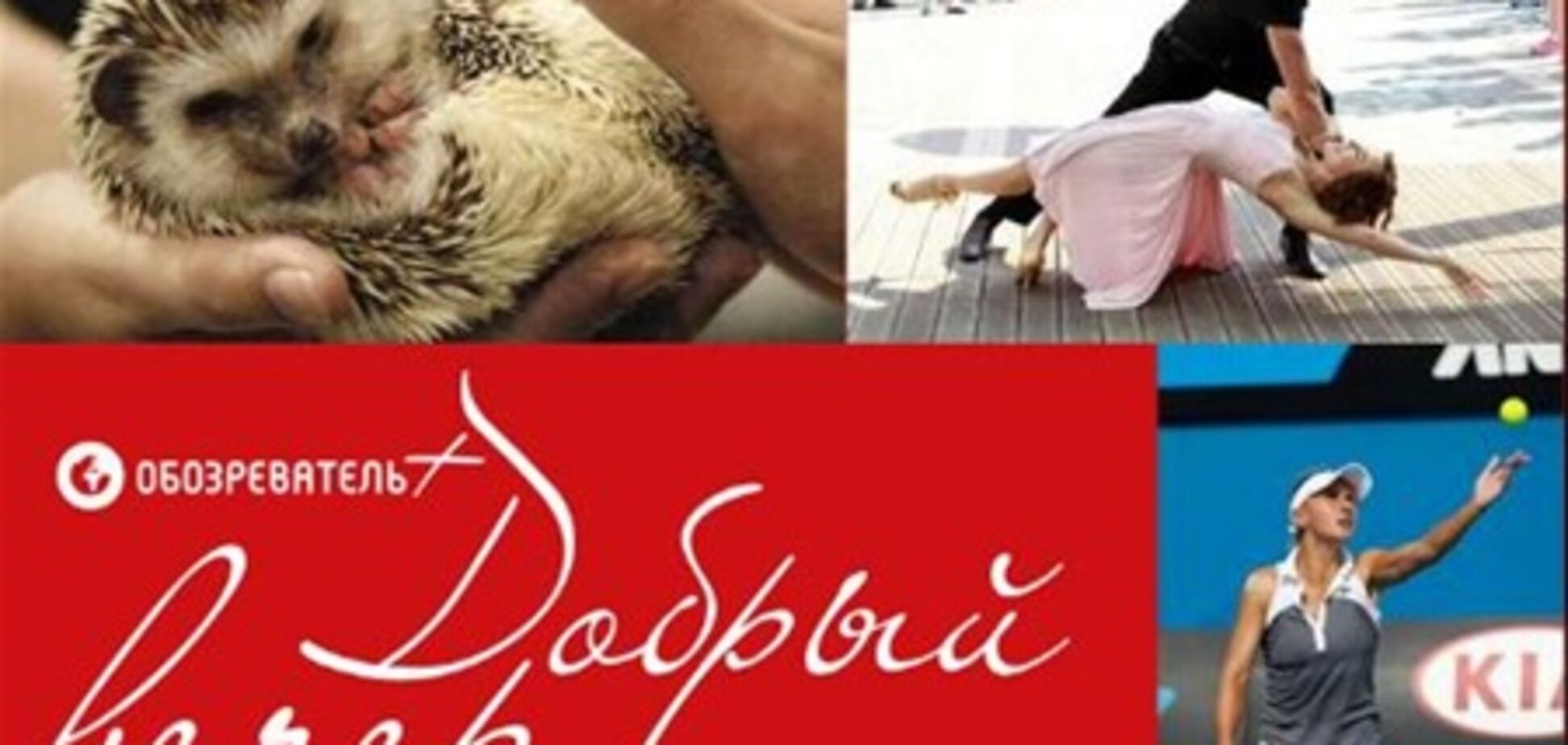 Добрий вечір: декларувати будемо все