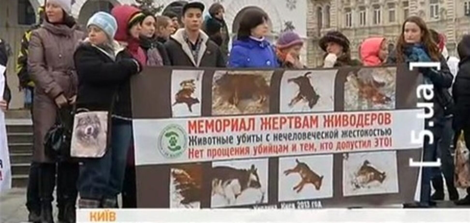 Киевляне требуют наказать догхантеров