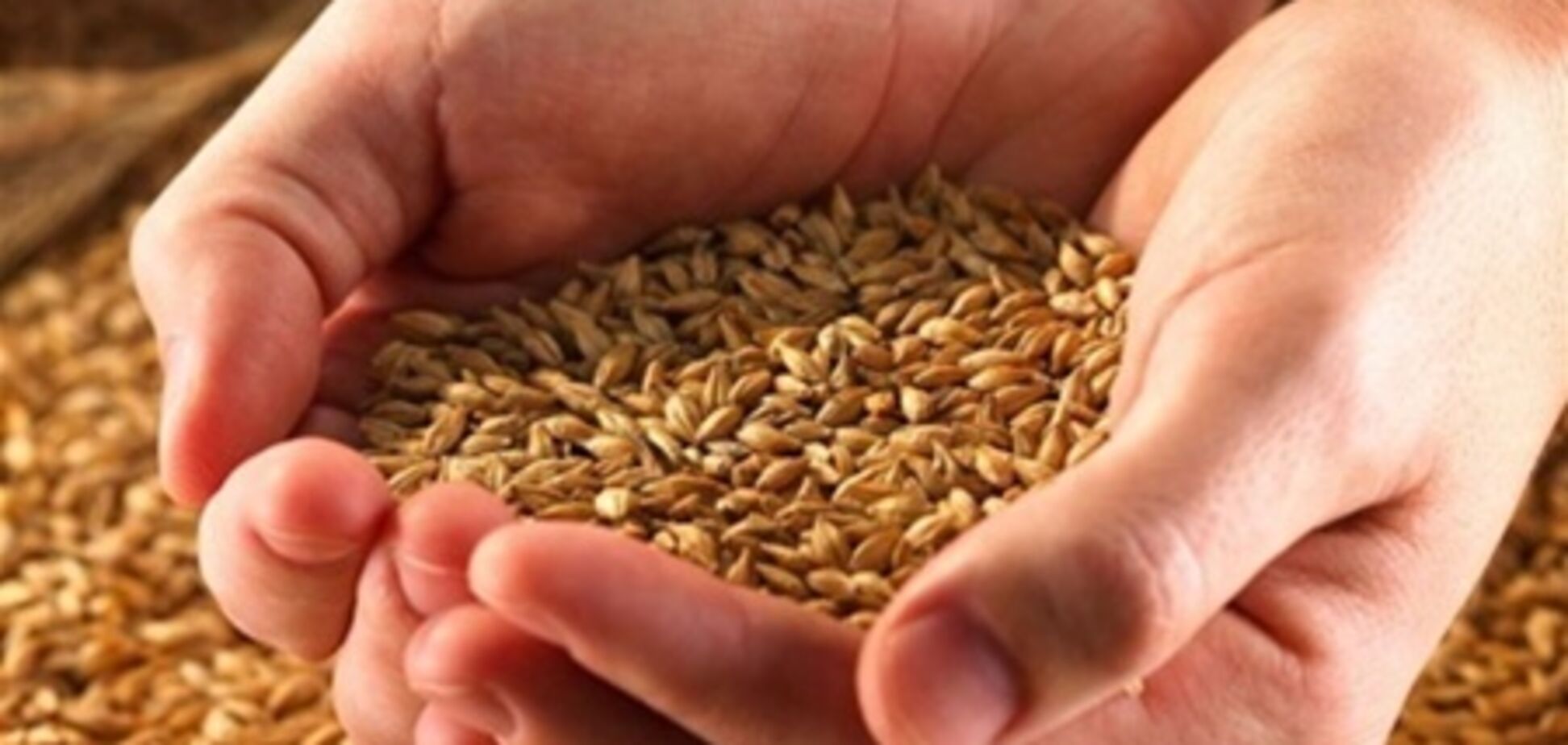 Украина увеличила экспорт зерна на 5 млн тонн