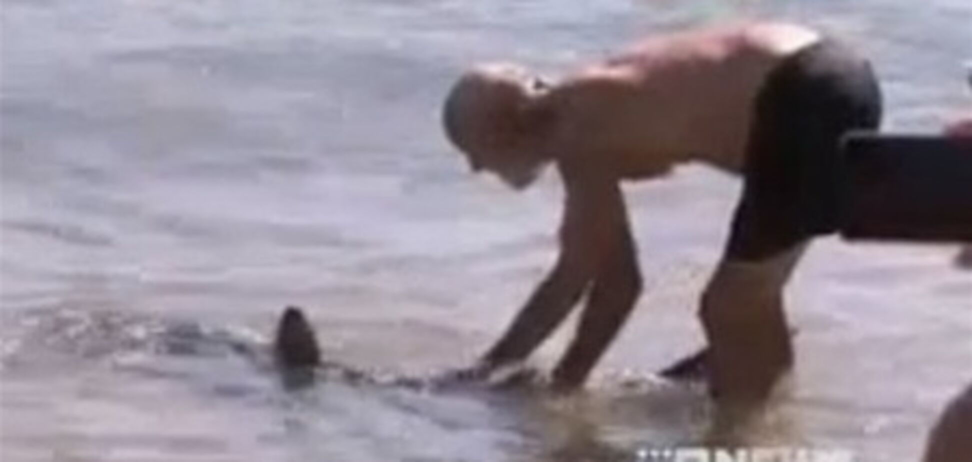 Що врятував дітей від акули британця звільнили за прогул