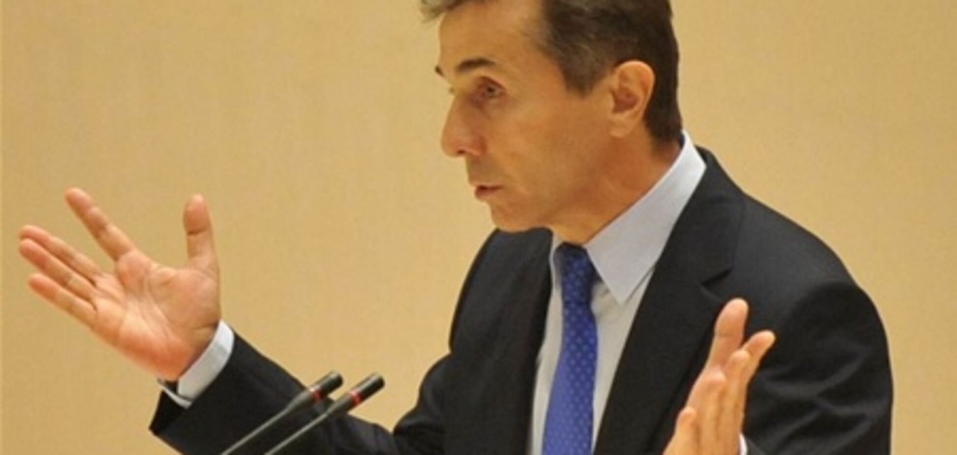 Премьер Грузии считает 'позорным' письмо евродепутатов в поддержку Саакашвили