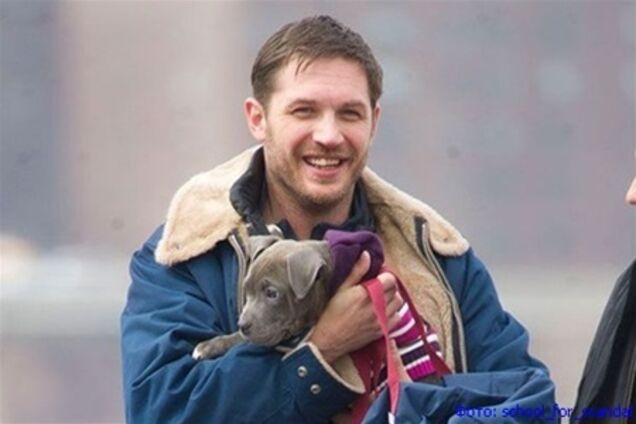 Том Харди трудится в компании щенка. Фото