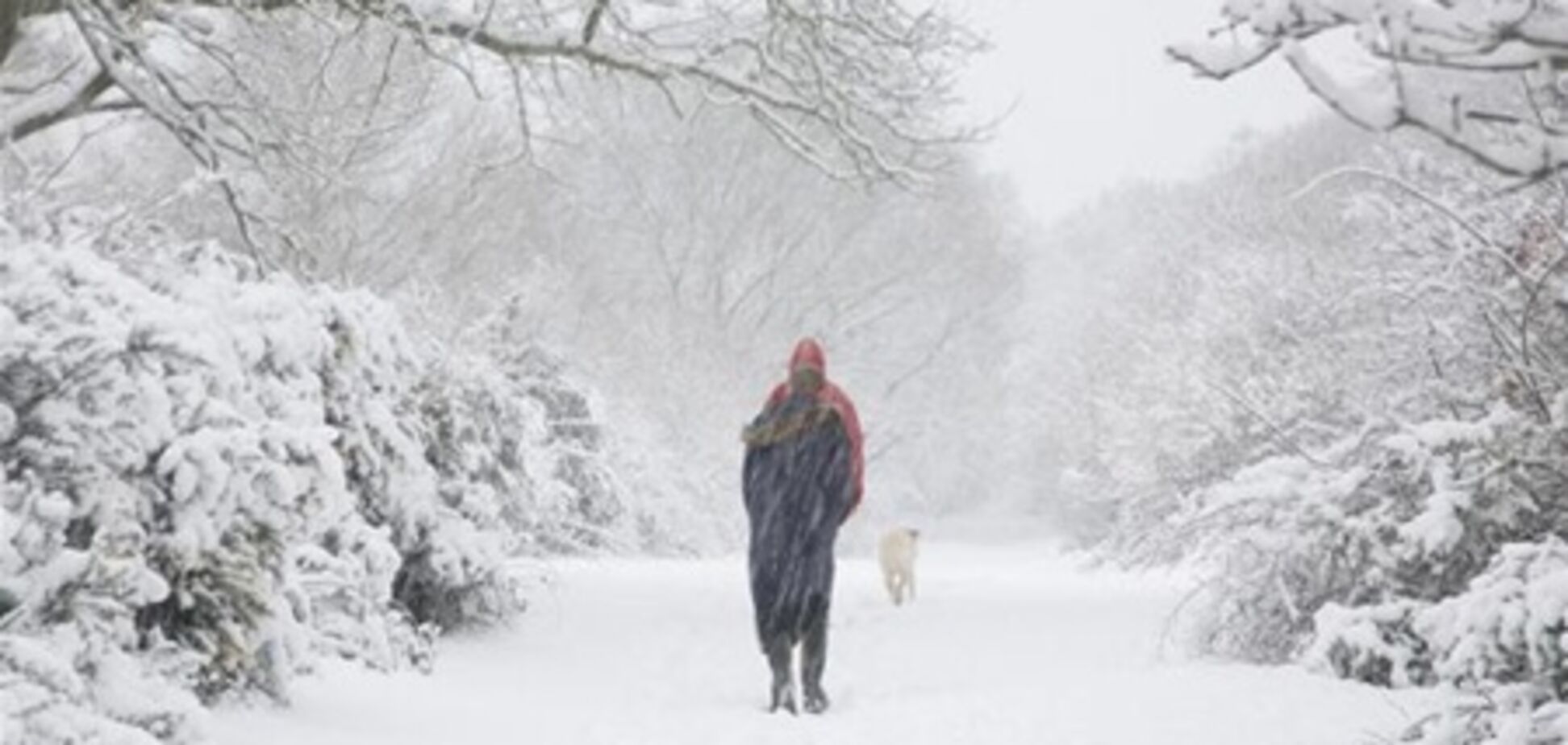У Москві почався сильний снігопад