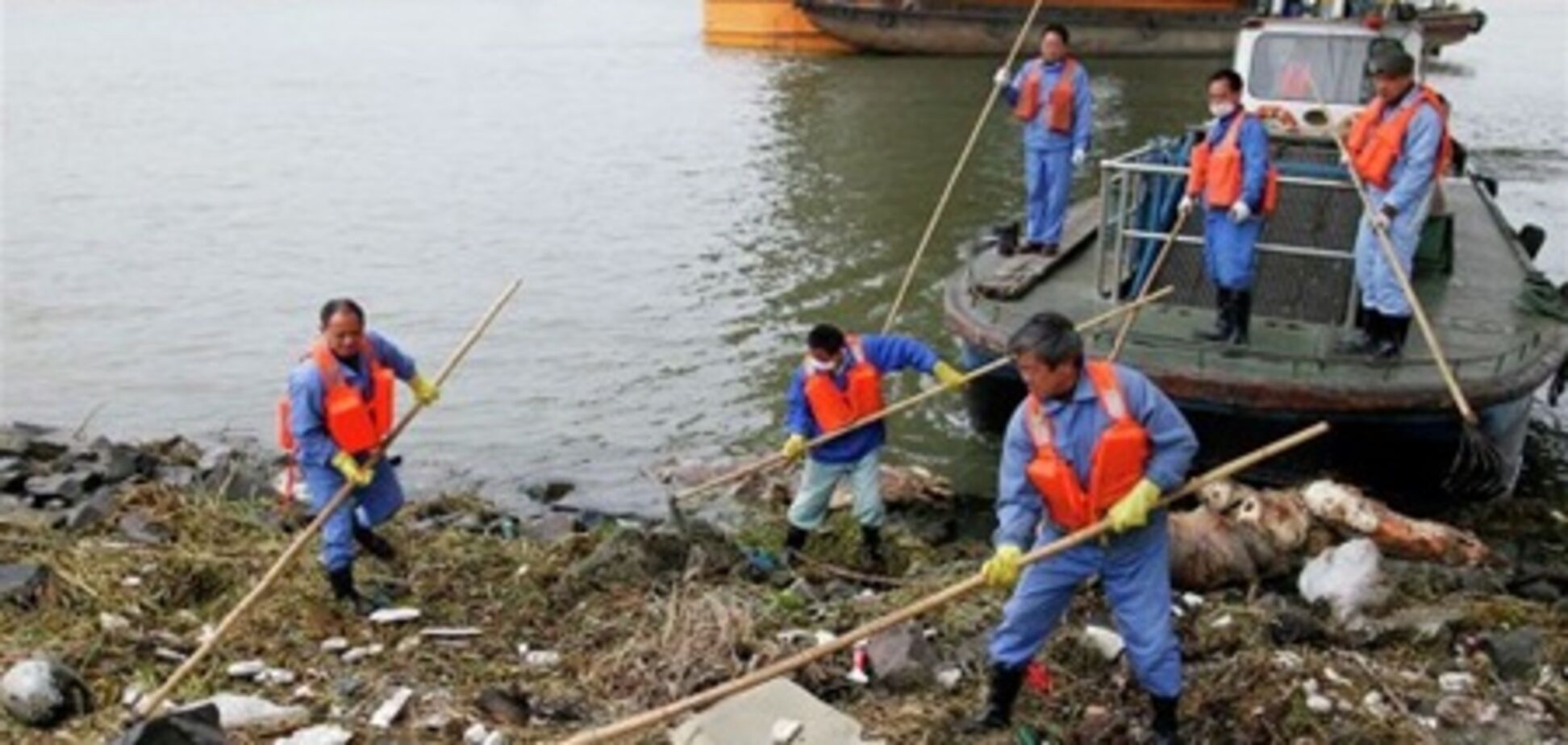У Китаї з річки виловили 7500 дохлих свиней. Відео