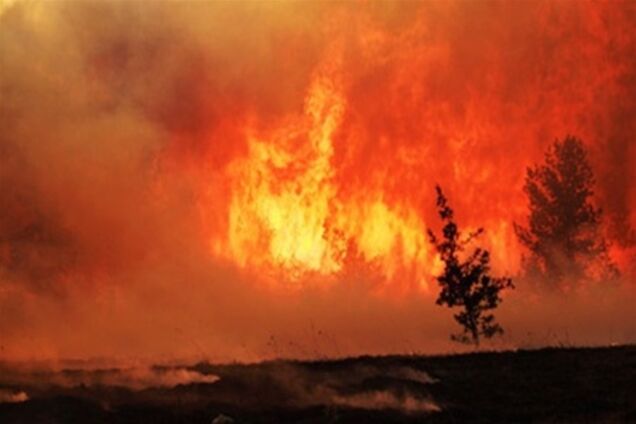 В США начался сезон лесных пожаров – сгорело 400 га леса