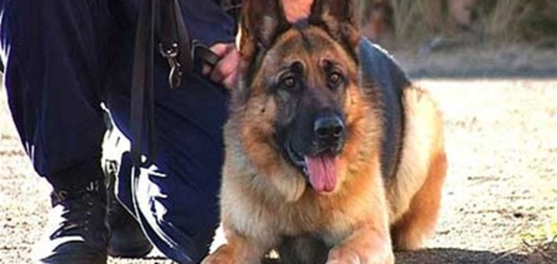 У Луганську за дві хвилини пограбували ювелірний магазин