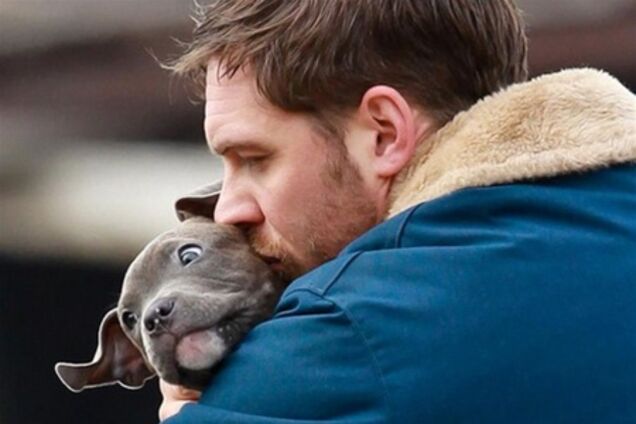 Том Харди, Нуми Рапас и щенок питбуля