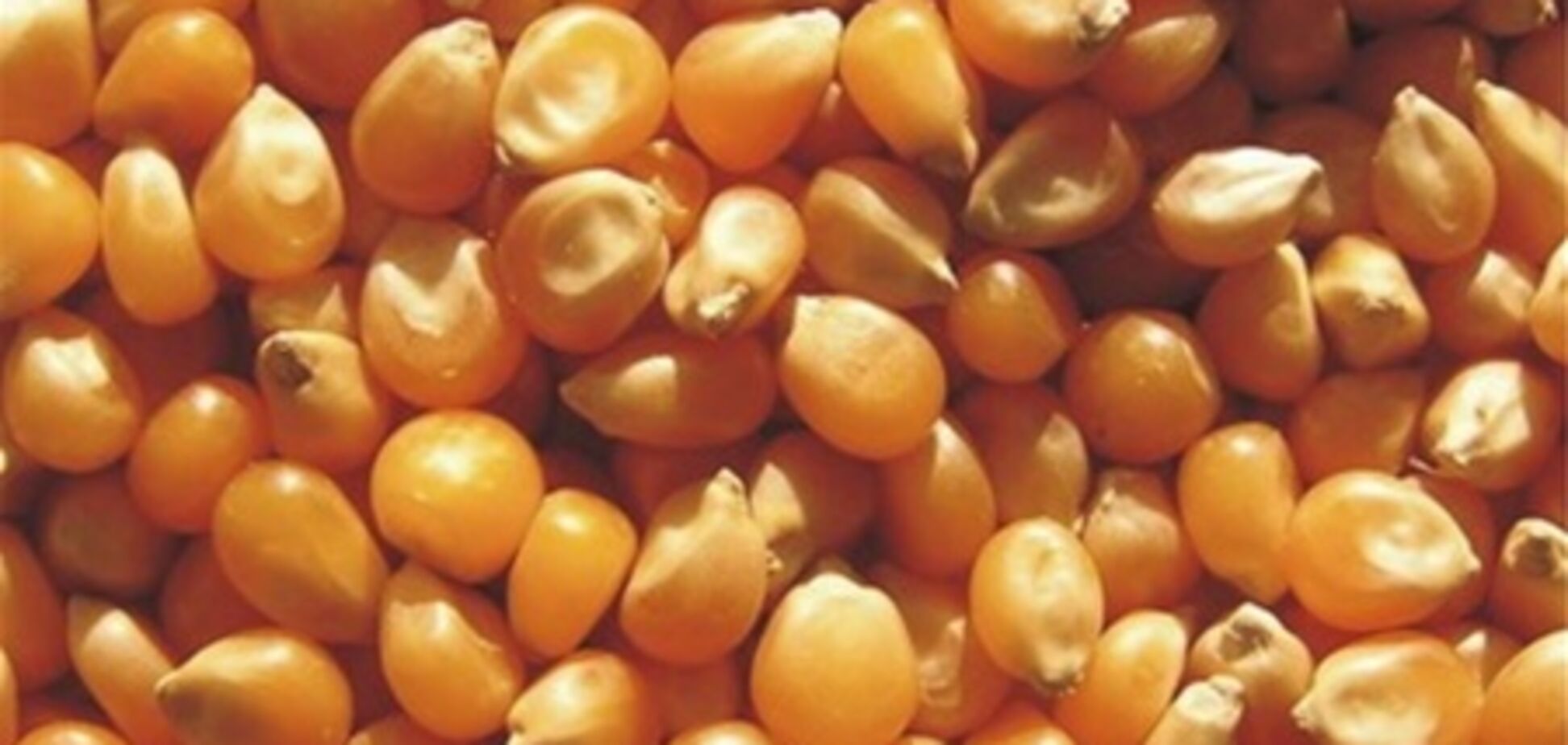 У Німеччині розгорається новий харчовий скандал