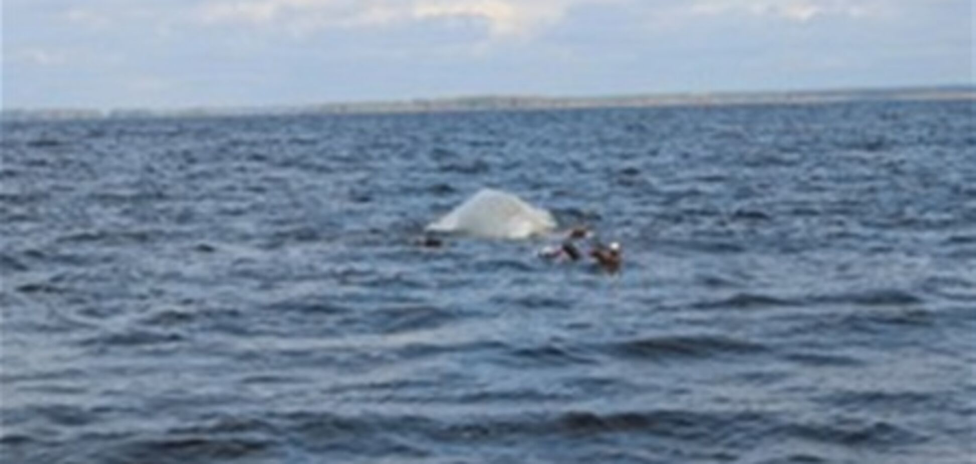 На Каховському водосховищі шукають двох зниклих рибалок