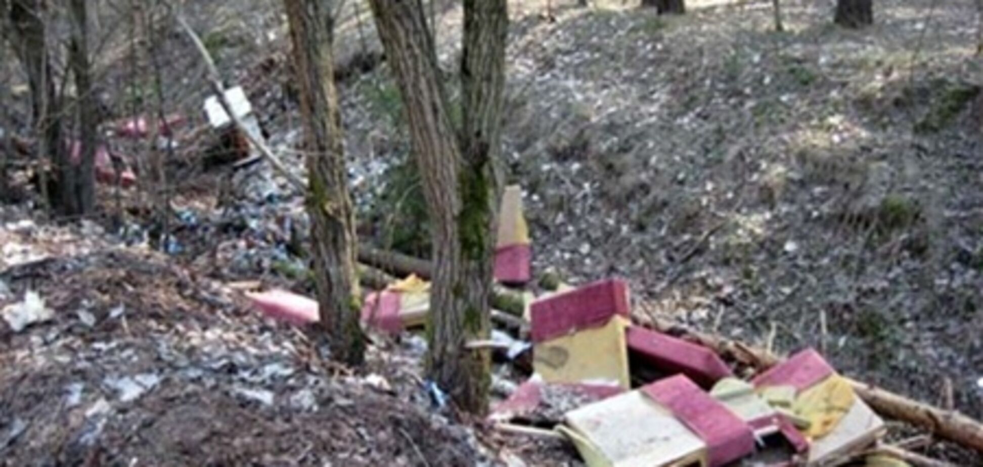 Будівельники засмітили 3 тис. кв. м лісу в Криму