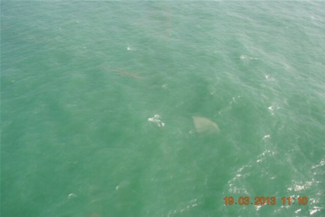 Сухогруз Nikolay Bauman затонул без проблем для моря - ГосЧС