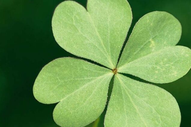 Привычки, которые убивают удачу