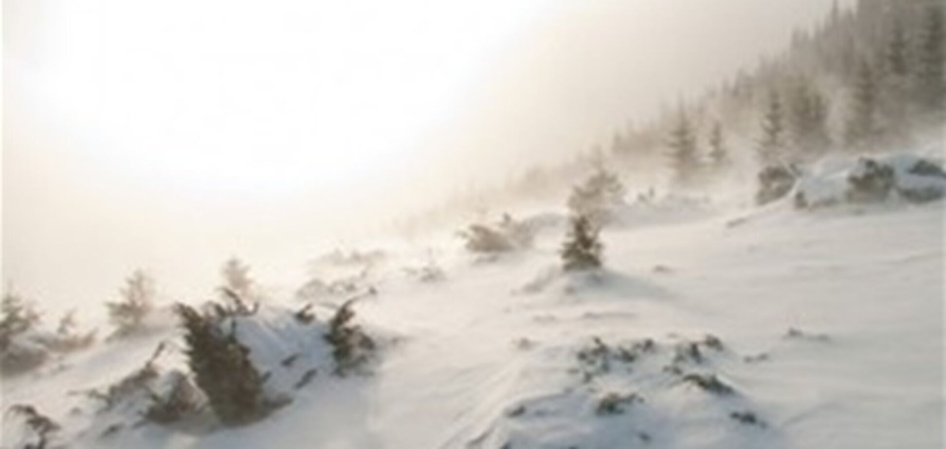 В снегах на Закарпатье нашли трех африканцев в кроссовках