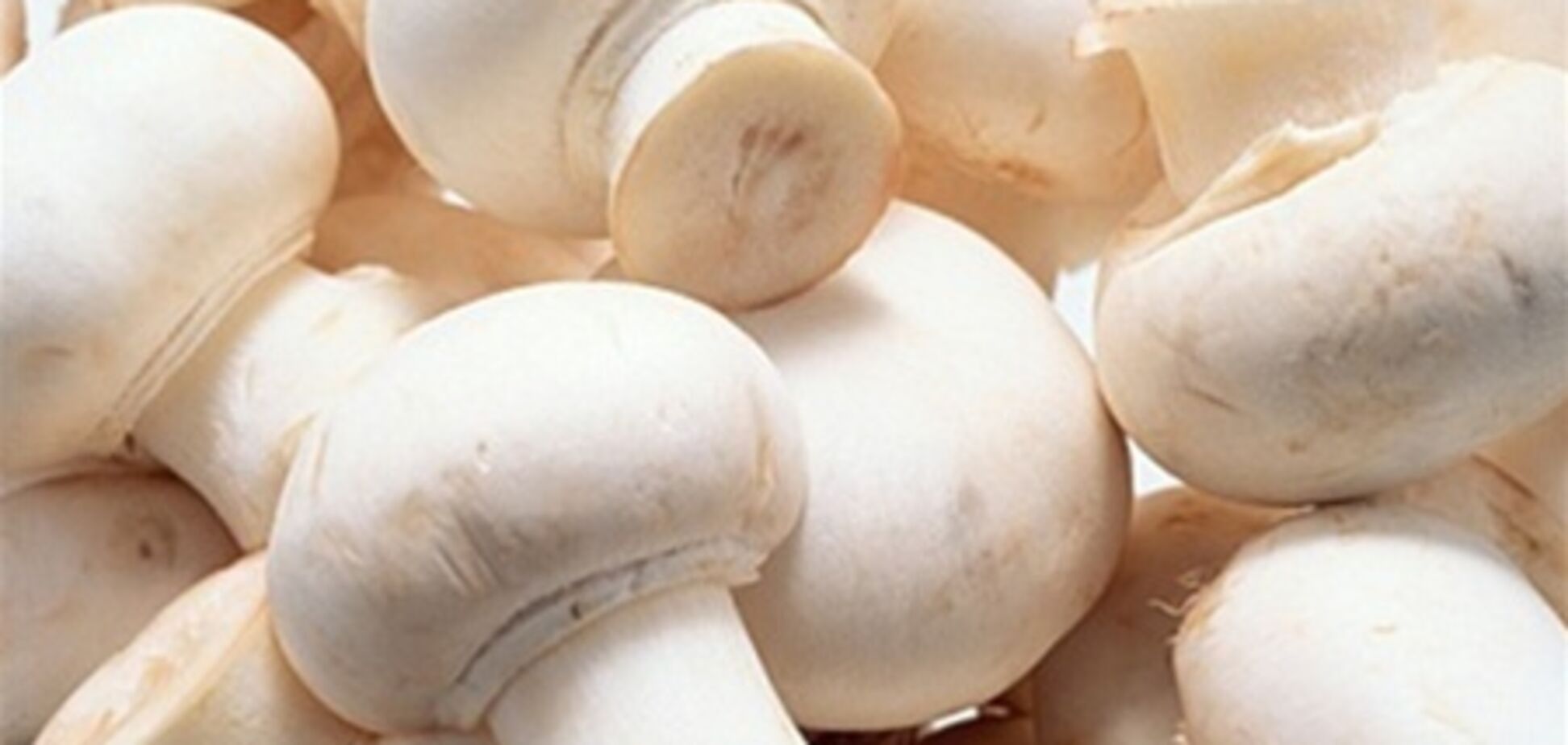 5 идей для блюд из грибов