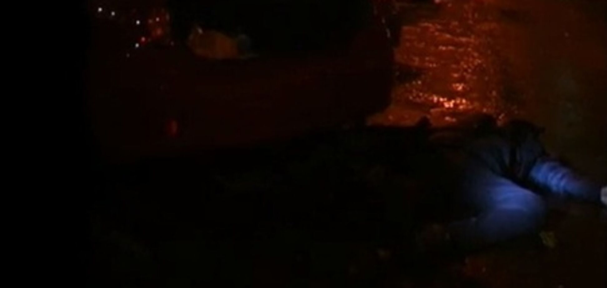 В Киеве жестоко убили директора фирмы - милиция (видео)