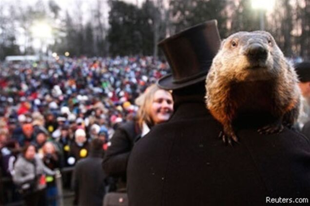 Бабака-провісника Філа пропонують стратити