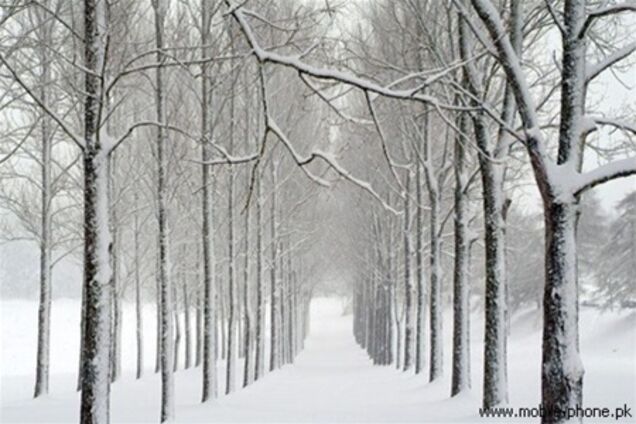 Багато школярів не дісталися до здачі зовнішнього оцінювання