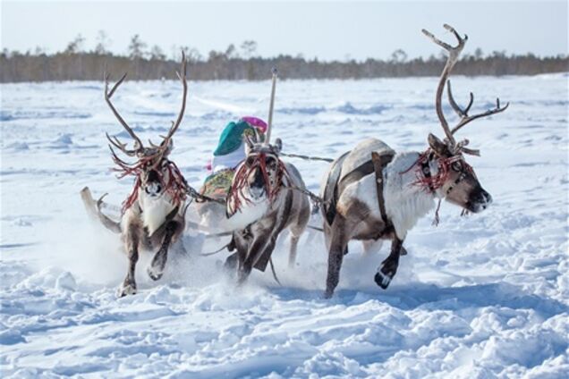 День рибалки, мисливця і оленяра в Югрі