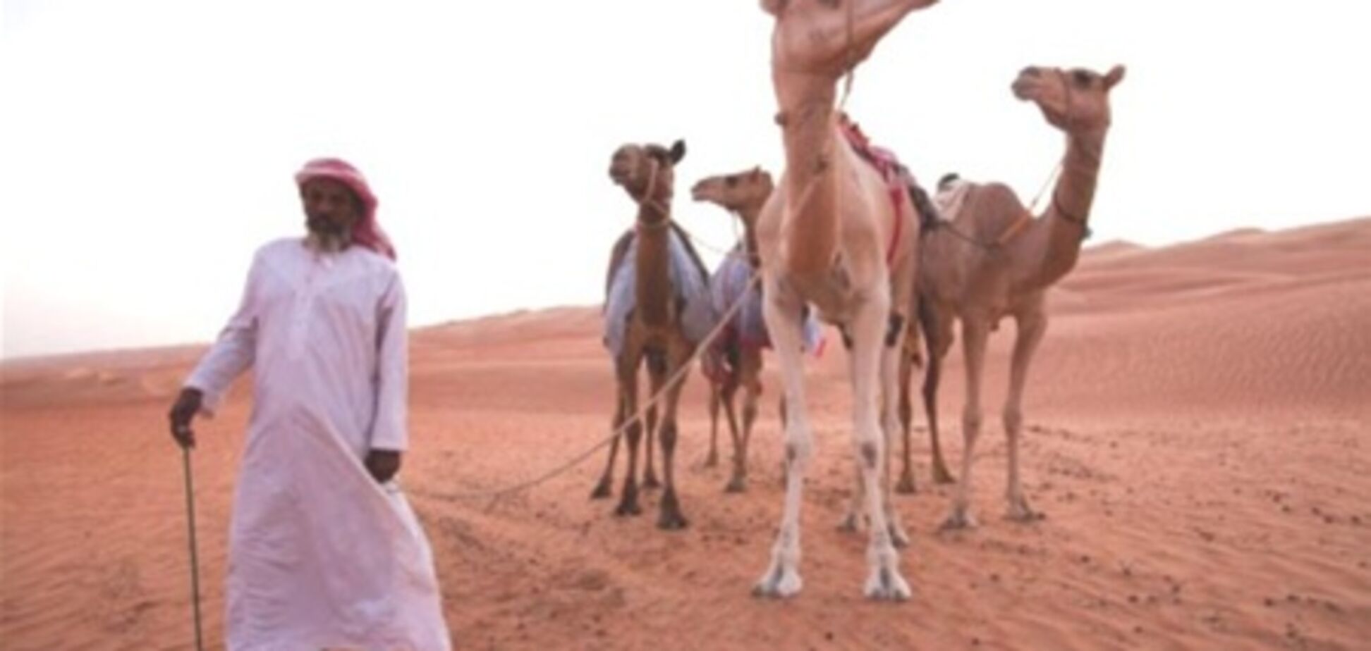 В Египте освобождена группа туристов, захваченная бедуинами