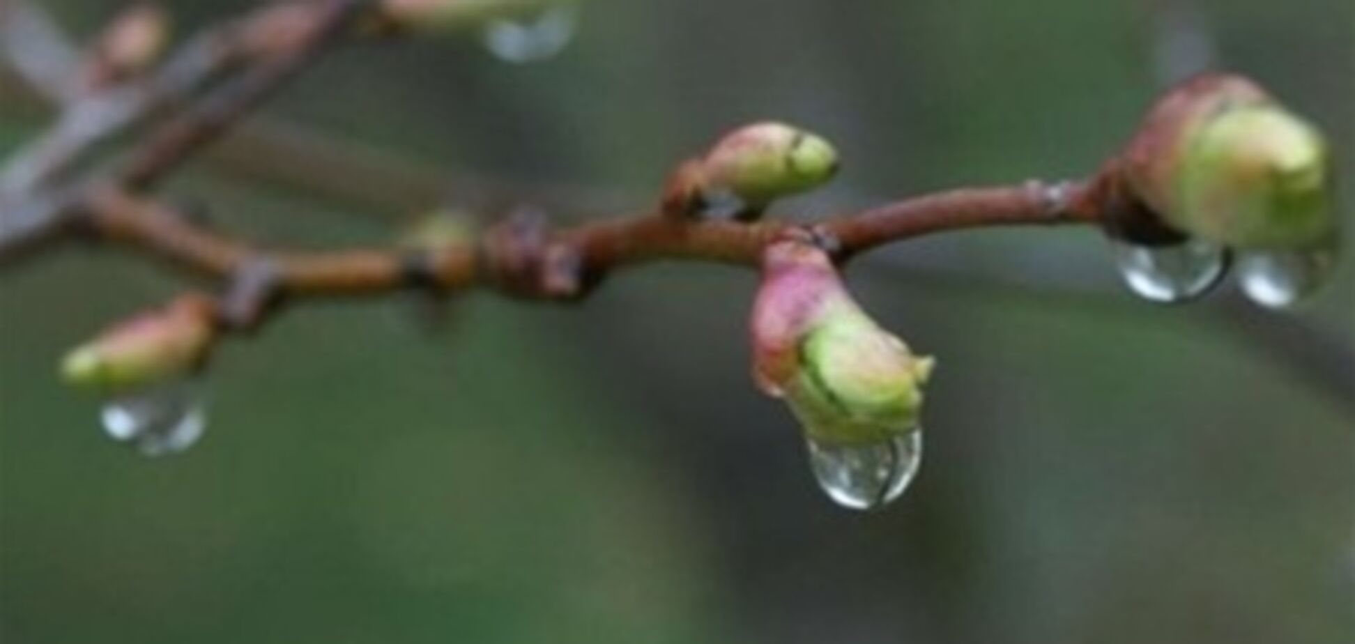 В Украине немного потеплеет