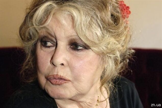 Защитница животных Бриджит Бардо не уберегла собственную кошку