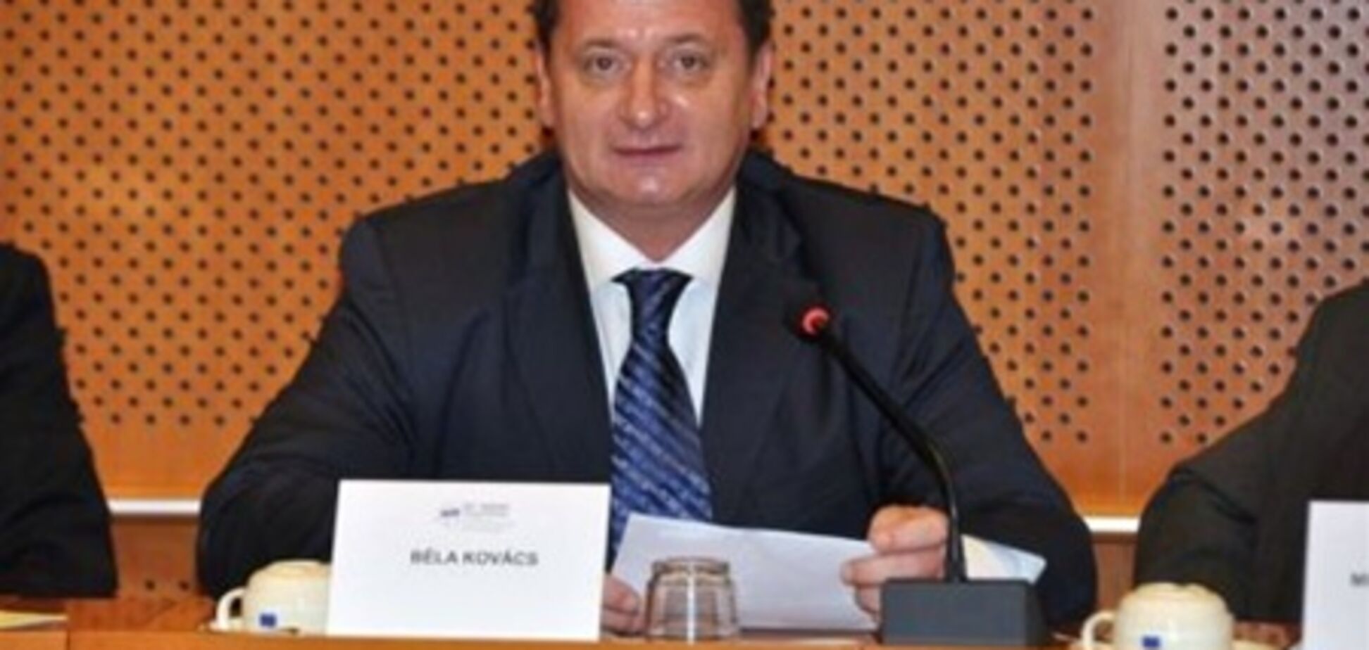 Евродепутат возмущен антивенгерскими акциями 'Свободы'