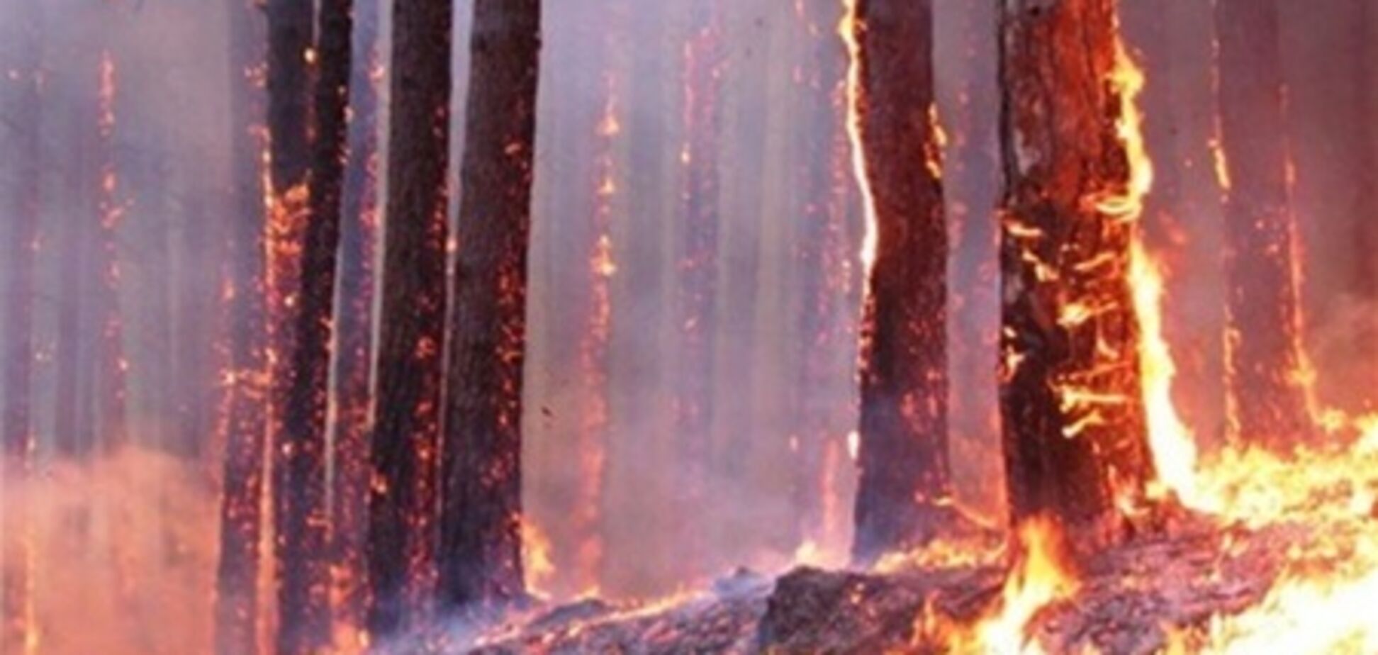 В бразильском заповеднике произошел пожар