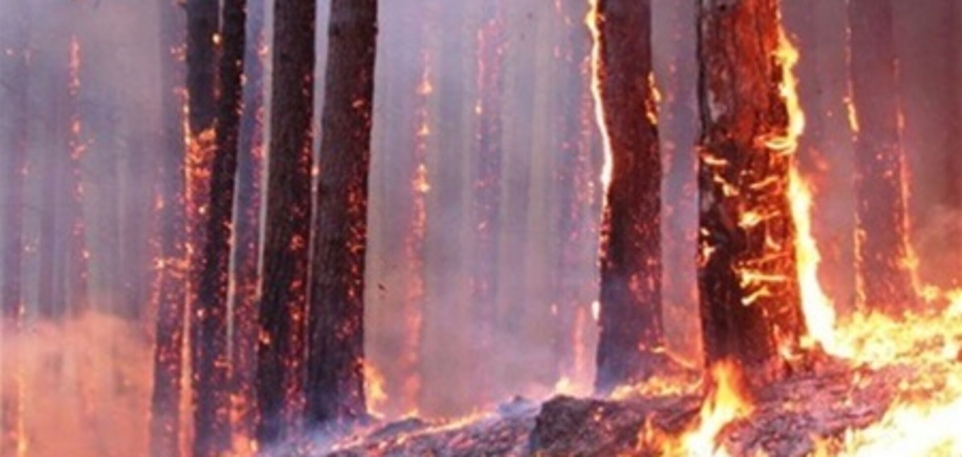 У бразильському заповіднику сталася пожежа