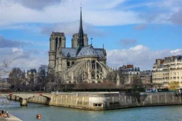 У Парижі намагалися вкрасти бивні слона Людовика XIV