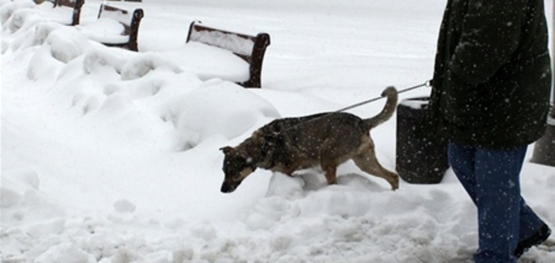 Владельцы микроавтобусов в снегопад заработали по 9 тыс. грн