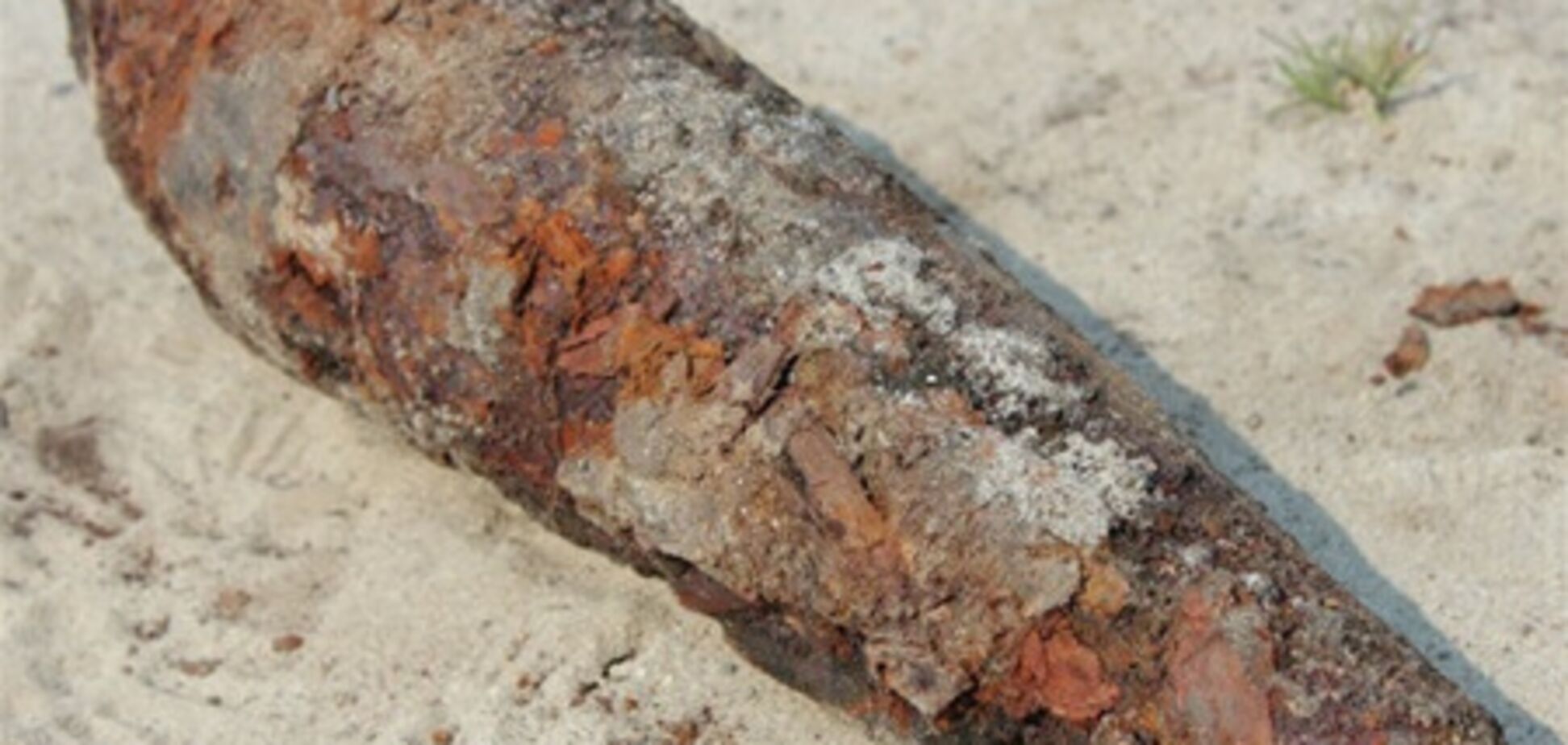 На Лесном кладбище при рытье могилы нашли мину