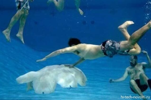 В США сконструируют медузу-разведчика за $5 млн