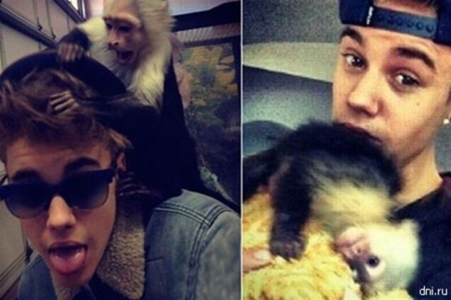 Джастина Бибера разлучили с его обезьяной