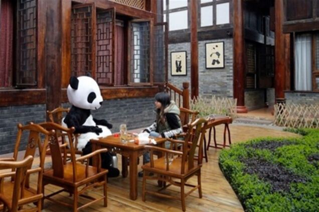 Китай пригласит туристов в панда-отель