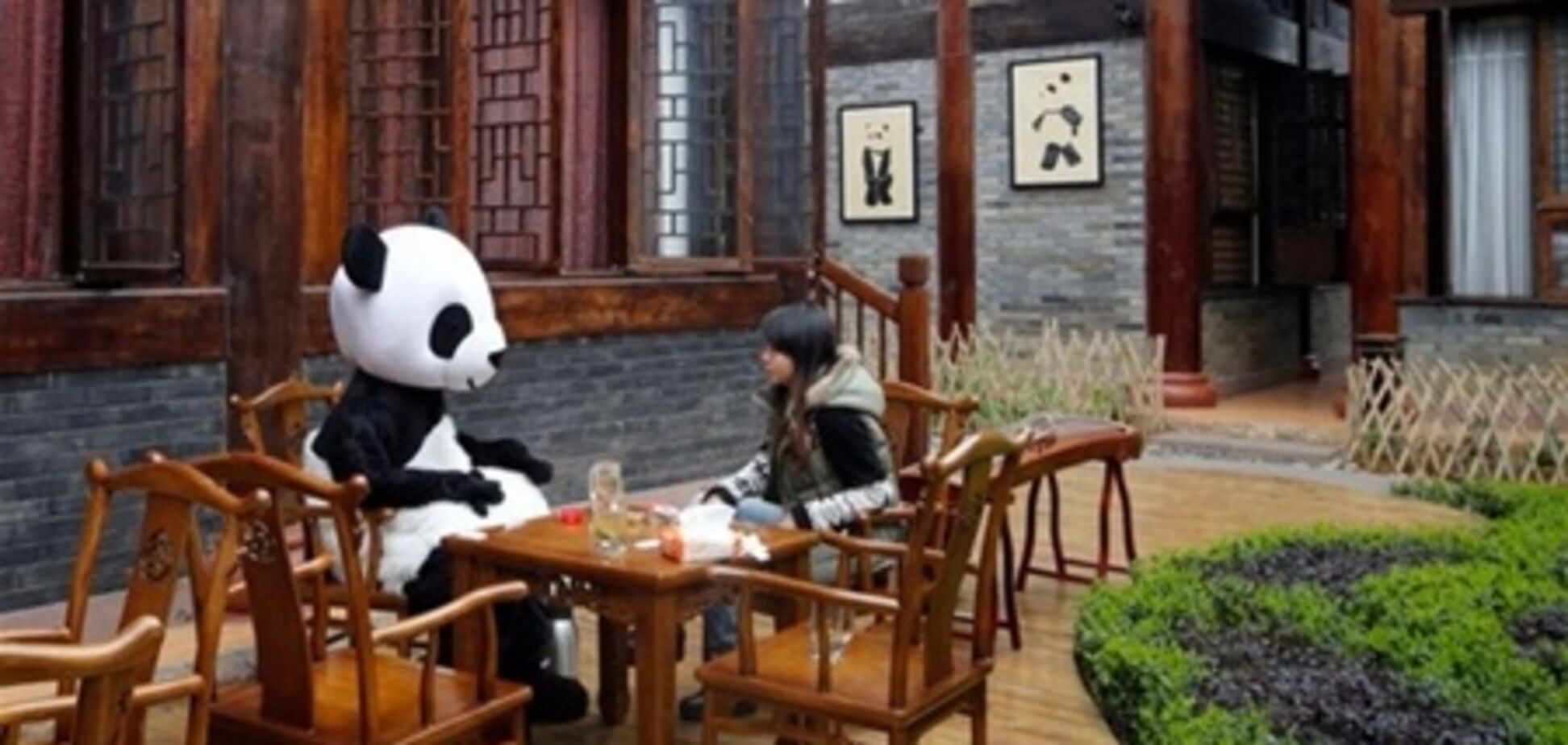 Китай пригласит туристов в панда-отель
