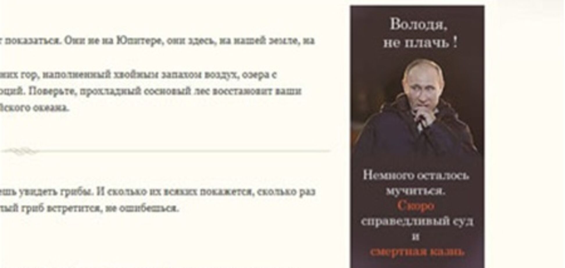 Российский туристический сайт пообещал Путину смертную казнь. Фото