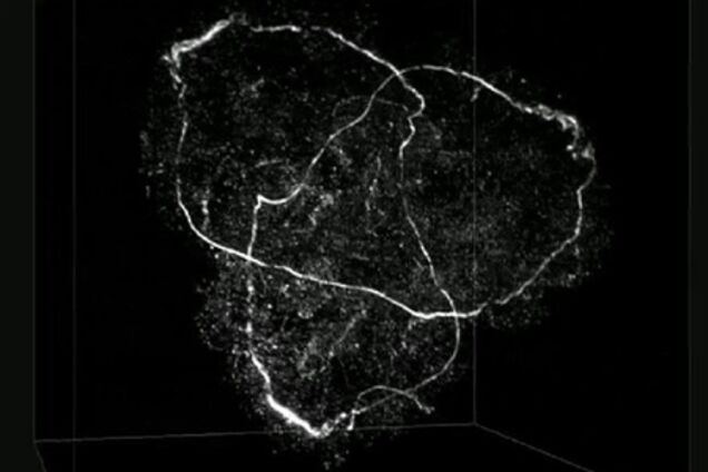 Физики завязали воду в узел. Видео