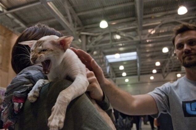 Кетсбург-2013