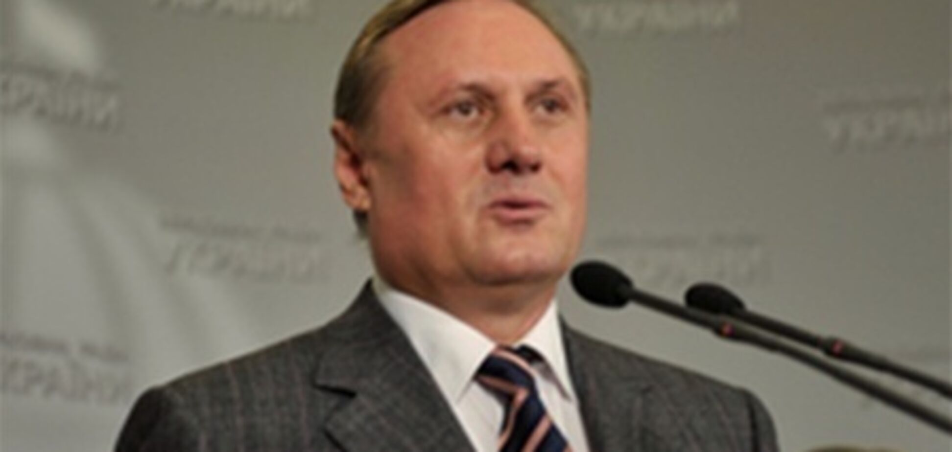 Ефремов исключает силовое разблокирование Рады