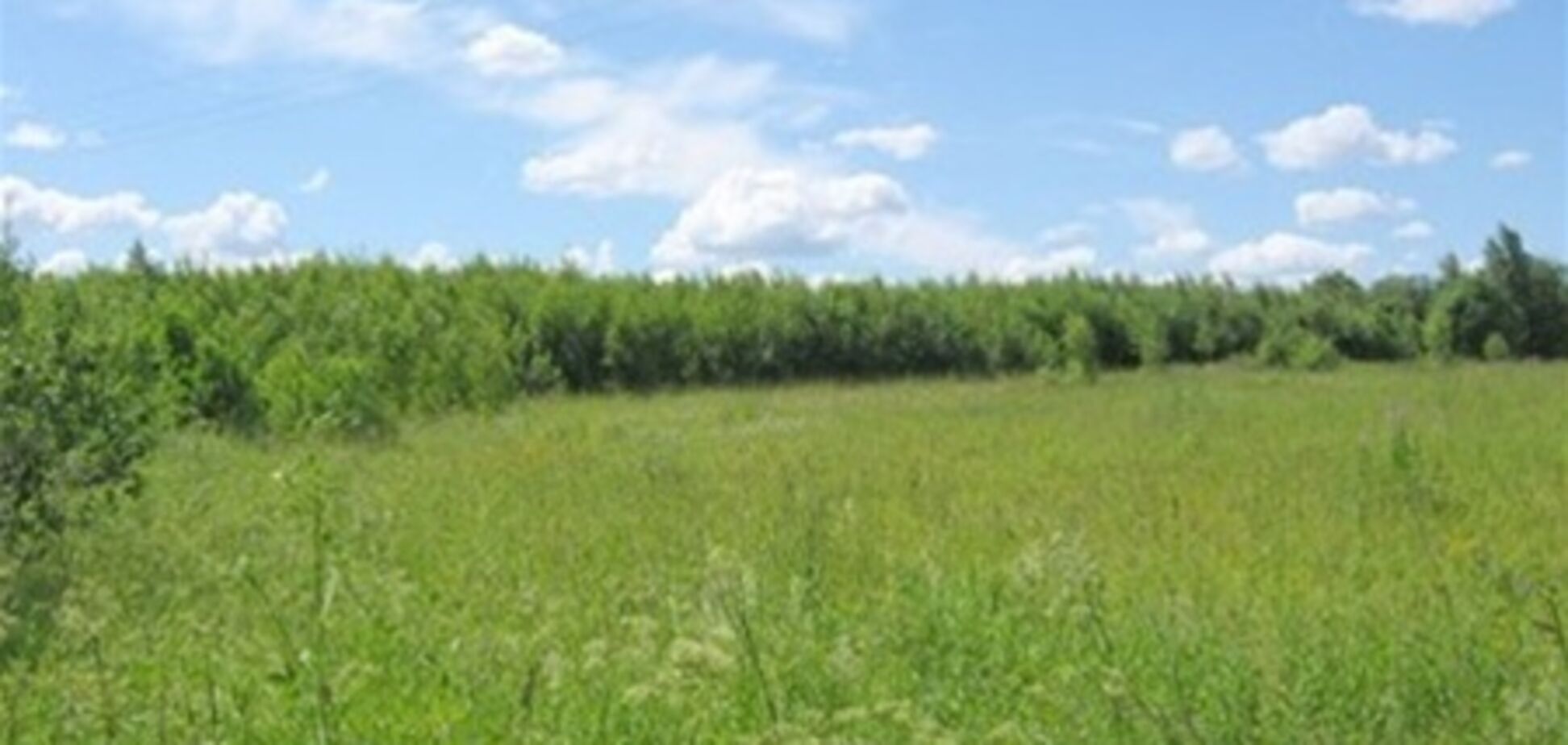 В феврале на Киевщине продано 216 земельных участков