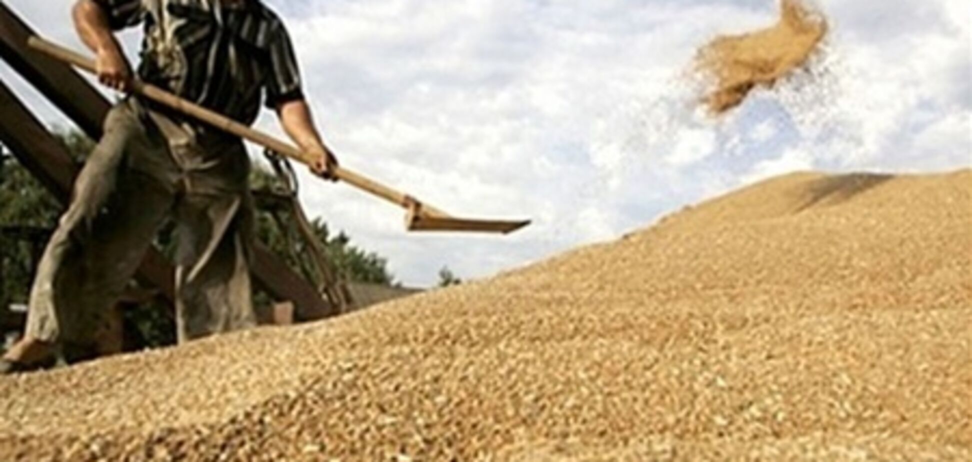 В Винницкой области мужчину насмерть засыпало зерном