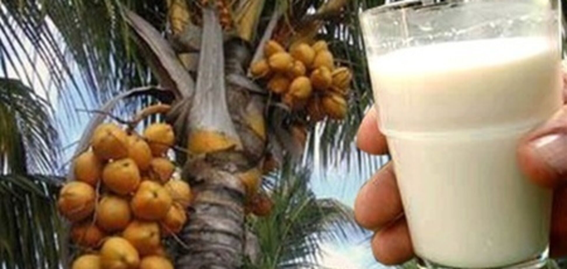 Тайны суррогатных продуктов