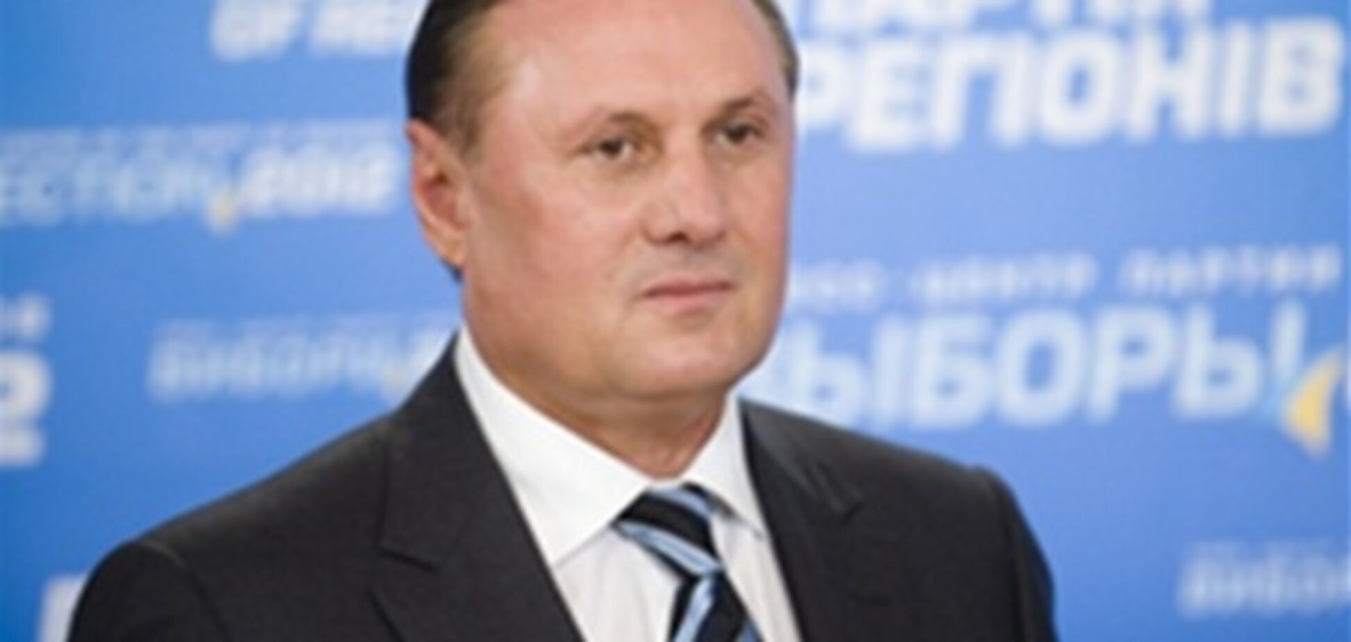 Повалий и Олийнык не могут быть лишены мандатов - Ефремов